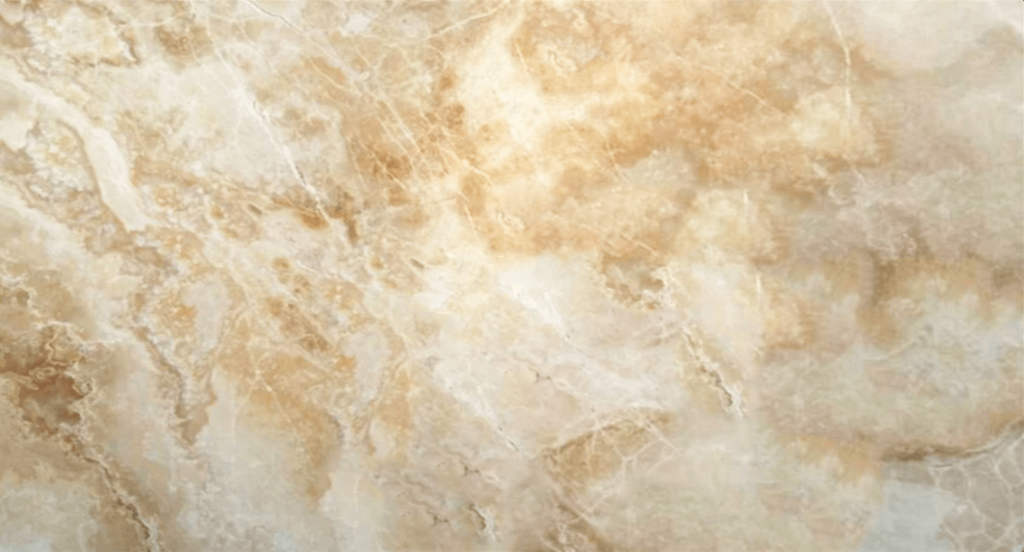 HoneyTraonyx