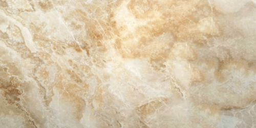 HoneyTraonyx